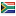 pollywog.co.za server is located in South Africa